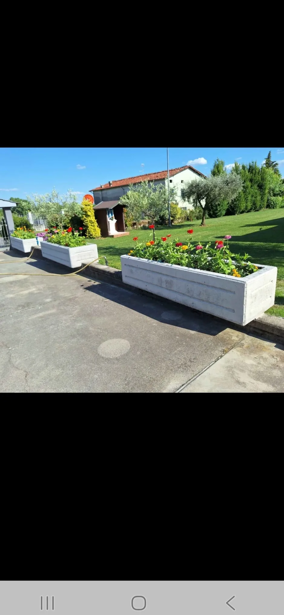 Fioriera grande Linea 226 con zinnie rosse e gialle, piccole sullo sfondo